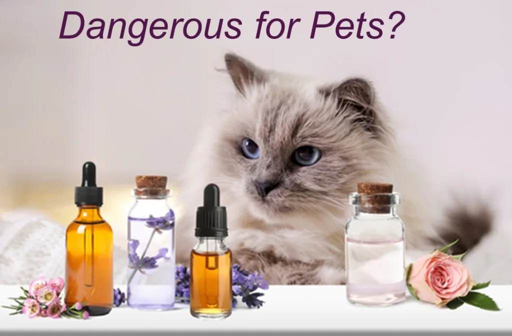 Essential Oils Good for You, Dangerous for Pets? • Essential Oils