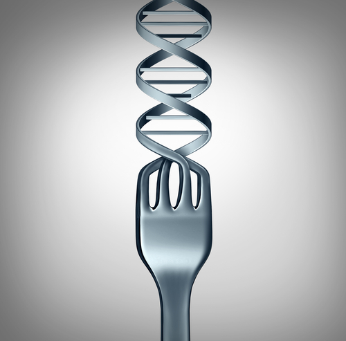 fork-dna