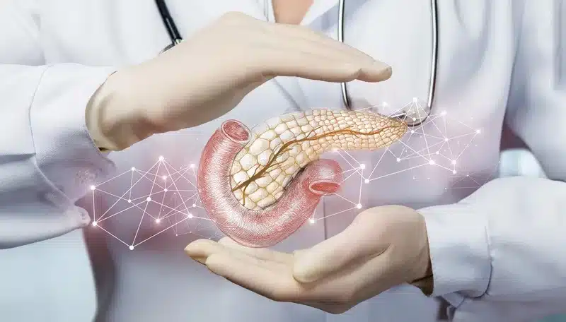 Protecting your pancreas is paramount because it is located deep in the abdomen, where disease remains undetected until the late stages.