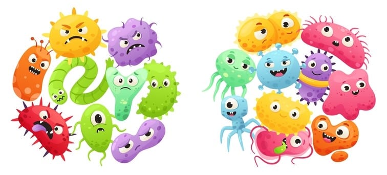 Through a process called quorum sensing, bacteria communicate with one another, sense their population size, and act collectively. 