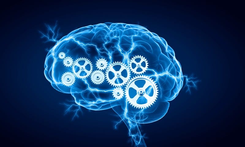 Decision fatigue occurs as the prefrontal cortex tires quickly, making about 35,000 decisions every day. 