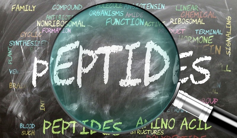 An explanation of peptides, what they are, what they are not and what you need to know before you use them.